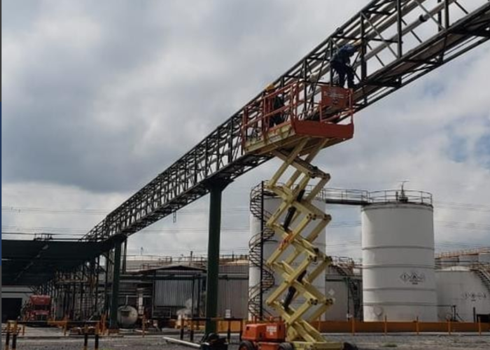 Diseño sin título (13)